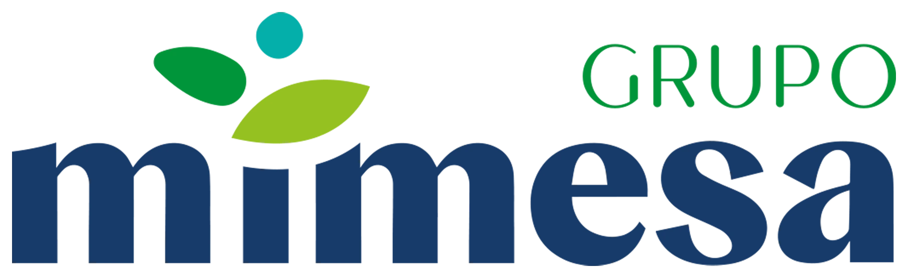 Grupo Mimesa